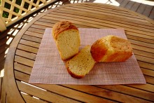 Водяная мельница в селе Ряженое на Миусе