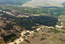 В лесах и песках на Северском Донце у хутора Наумов