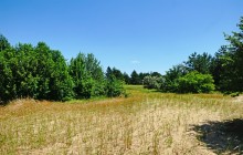 В лесах и песках на Северском Донце у хутора Наумов