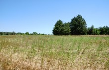 В лесах и песках на Северском Донце у хутора Наумов