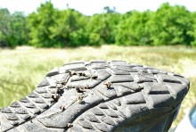 В лесах и песках на Северском Донце у хутора Наумов