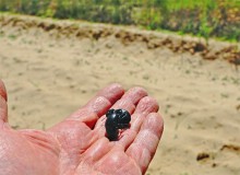 В лесах и песках на Северском Донце у хутора Наумов