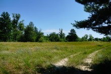 В лесах и песках на Северском Донце у хутора Наумов