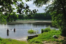 Вечер у пруда в ольховом лесу