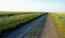 Чудеса в природе в 2021 г.