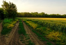 Чудеса в природе в 2021 г.