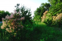 Чудеса в природе в 2021 г.