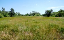 Леса у хутора Наумов на Северском Донце