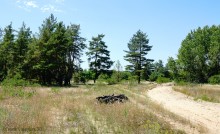 Леса у хутора Наумов на Северском Донце