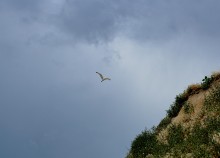 Азовское побережье у поселка Приазовский