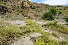 Водяная мельница у хутора Семимаячного на реке Кундрючьей