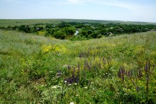 Водяная мельница у хутора Семимаячного на реке Кундрючьей