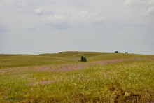 Путешествие по Большому Калитвенцу и Калитве