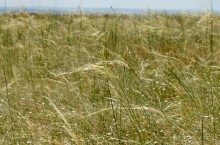 Путешествие по Большому Калитвенцу и Калитве