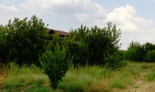 Путешествие по Большому Калитвенцу и Калитве