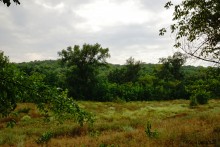 Путешествие по Большому Калитвенцу и Калитве