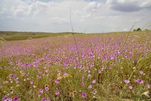 Путешествие по Большому Калитвенцу и Калитве