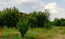 Поместье потомков атаманов Ефремовых в слободе Ефремово-Степановка на реке Калитве