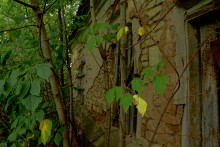 Поместье потомков атаманов Ефремовых в слободе Ефремово-Степановка на реке Калитве