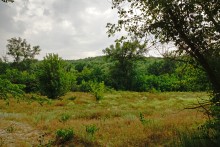 Поместье потомков атаманов Ефремовых в слободе Ефремово-Степановка на реке Калитве