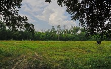 Поместье потомков атаманов Ефремовых в слободе Ефремово-Степановка на реке Калитве