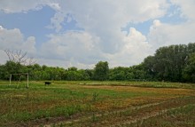 Поместье потомков атаманов Ефремовых в слободе Ефремово-Степановка на реке Калитве