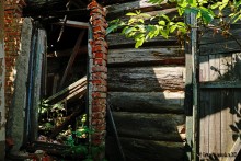 Поместье потомков атаманов Ефремовых в слободе Ефремово-Степановка на реке Калитве