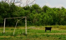 Поместье потомков атаманов Ефремовых в слободе Ефремово-Степановка на реке Калитве