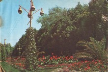 Фотоальбом 1974 г. "По-над Доном сад цветёт..."