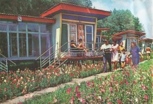 Фотоальбом 1974 г. "По-над Доном сад цветёт..."