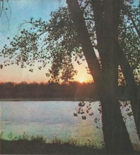 Фотоальбом 1974 г. "По-над Доном сад цветёт..."