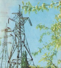 Фотоальбом 1974 г. "По-над Доном сад цветёт..."