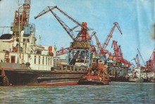 Фотоальбом 1974 г. "По-над Доном сад цветёт..."