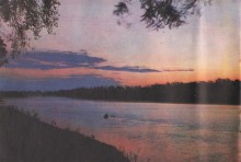 Фотоальбом 1974 г. "По-над Доном сад цветёт..."