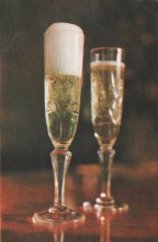 Фотоальбом 1974 г. "По-над Доном сад цветёт..."