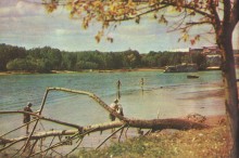 Фотоальбом 1974 г. "По-над Доном сад цветёт..."