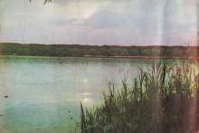 Фотоальбом 1974 г. "По-над Доном сад цветёт..."