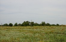 Путешествие по берегам Маныча