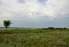 Путешествие по берегам Маныча