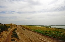 Путешествие по берегам Маныча