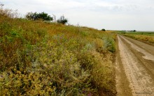 Путешествие по берегам Маныча