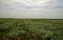 Путешествие по берегам Маныча