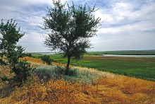 Путешествие по берегам Маныча