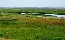 Путешествие по берегам Маныча