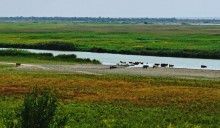 Путешествие по берегам Маныча