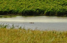 Путешествие по берегам Маныча