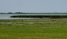 Путешествие по берегам Маныча