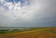 Путешествие по берегам Маныча