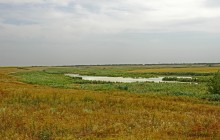 Путешествие по берегам Маныча