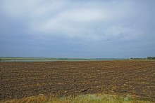 Путешествие по берегам Маныча